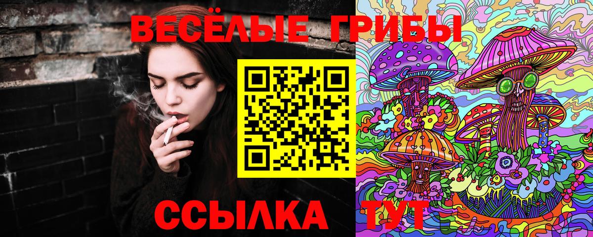 Псилоцибиновые грибы мухоморы Новоуральск