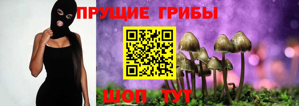 Галлюциногенные грибы мухоморы  Вход с VPN  где купить   Новоуральск  Псилоцибиновые грибы мицелий 